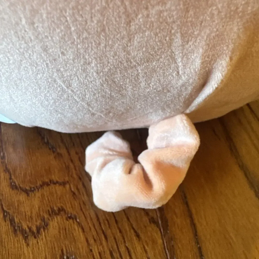 New Squishmallows Carnita Girl Pig BBQ Pulled Pork Sandwich Stuffy Plush Toy NWT